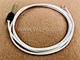cord test